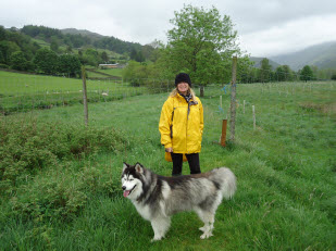 Sandra with Nanuk on the dog field