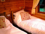 The comfortable twin room