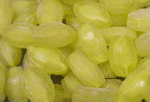Sherbet lemons