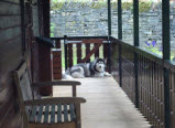 The balcony, dog not included