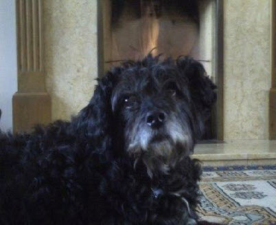 Benji
