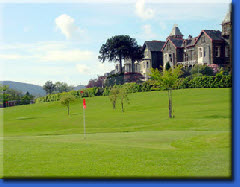 Pitch and Putt